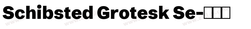 Schibsted Grotesk Se字体转换